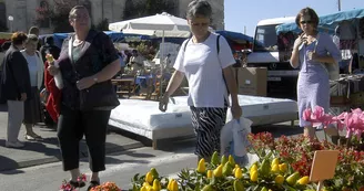 Mauzé-sur-le-Mignon : la patrie de l’explorateur René Caillié