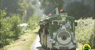 Le Petit Train du Marais