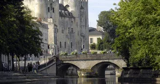 NIORT, capitale urbaine du Marais Poitevin