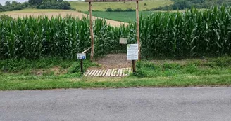 Labyrinthe de Vendoire