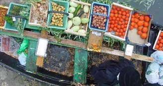 Le Vanneau-Irleau et son marché sur l'eau