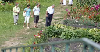 Le Vanneau-Irleau et son marché sur l'eau