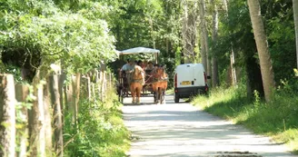 Gîte Rural "La Grenouille"