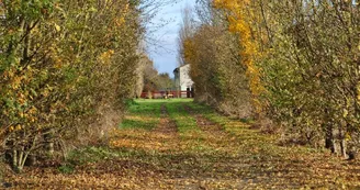 Gîte "Côté Marguerites" - Le Hameau de Sainte-Mégrine