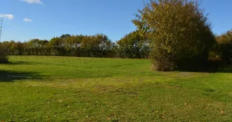 Gîte "Côté Marguerites" - Le Hameau de Sainte-Mégrine