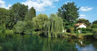 Ma petite maison au bord de l'eau