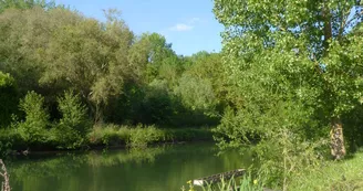 Ma petite maison au bord de l'eau