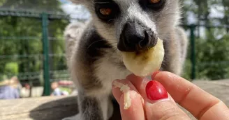 Parc Saint Léger - Parc Animalier