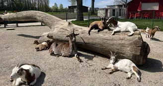 Parc Saint Léger - Parc Animalier