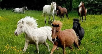 Parc Saint Léger - Parc Animalier