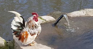 Parc Saint Léger - Parc Animalier