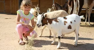 Parc Saint Léger - Parc Animalier