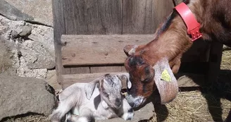 Ferme pédagogique des Bornottes