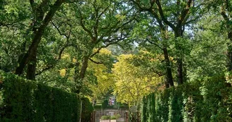 LABYRINTHE DE MERVILLE