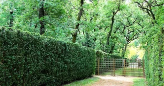 LABYRINTHE DE MERVILLE