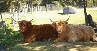 FERME LA TOISON D'OR