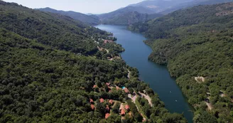 LES CHATAIGNIERS DU LAC