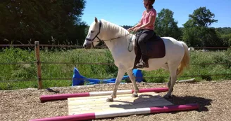 Centre équestre "Les Chevaux de Tilcara" à Château-Chervix_1