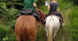 Centre équestre "Les Chevaux de Tilcara" à Château-Chervix_2