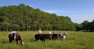 Centre équestre "Les Chevaux de Tilcara" à Château-Chervix_4