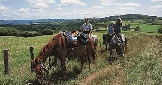 Ferme équestre des Ribières_2