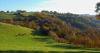 Ferme équestre des Ribières_5