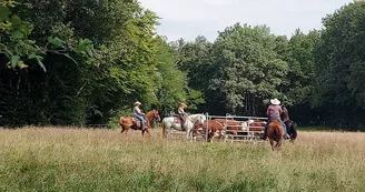 Centre équestre - Ranch Tashunka