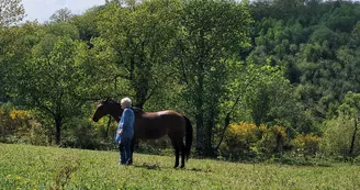 Centre équestre - Ranch Tashunka