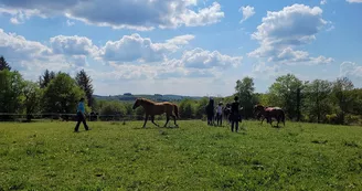 Centre équestre - Ranch Tashunka