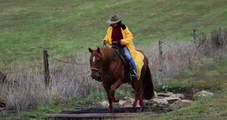 NAHANI RANCH-Mountain Trail Equitation western comportementale_8