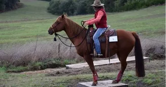 NAHANI RANCH-Mountain Trail "Equitation western comportementale"_2