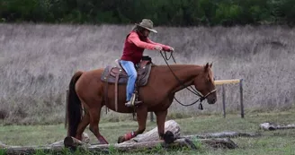 NAHANI RANCH-Mountain Trail "Equitation western comportementale"_6