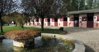 Centre equestre domaine de muret 