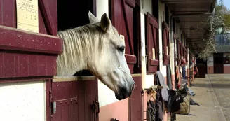 Centre equestre domaine de muret 