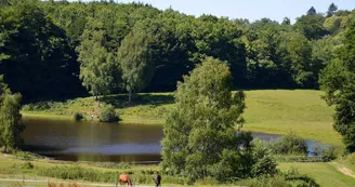 Centre equestre domaine de muret 