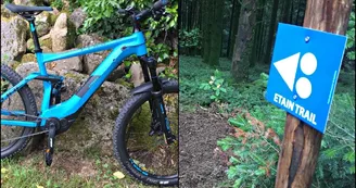 VAE + Enduro VTT