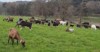 La ferme de Vassivière 