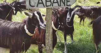 La ferme de Vassivière 