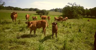 La ferme du Mas Crochet_2