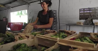 terre ferme  coussac bonneval_1