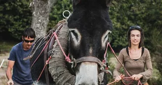 terre ferme  coussac bonneval_3