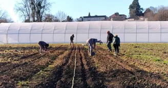 Légumes bio de l’association maraîchère "Le Comptoir Fraternel"_2