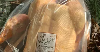 Volailles La Meuzacoise à Meuzac_4