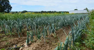 ferme-la-belle-botte-pageas-haute-vienne