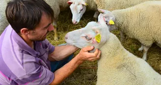 ferme-la-belle-botte-pageas-haute-vienne