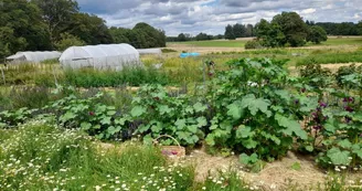 Ferme-Pensee-Sauvage-StBrice (1)