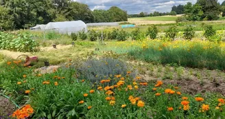 Ferme-Pensee-Sauvage-StBrice (2) (1)