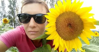 Tournesol pour les animaux