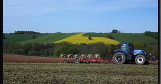 La Ferme des Collet à Vicq-Sur-Breuilh_5