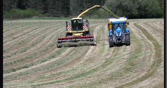 La Ferme des Collet à Vicq-Sur-Breuilh_3